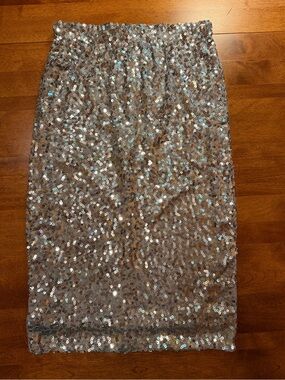 Pretty Guide Sequin Pencil Skirt Size Small Silver Champagne Iridescent Party